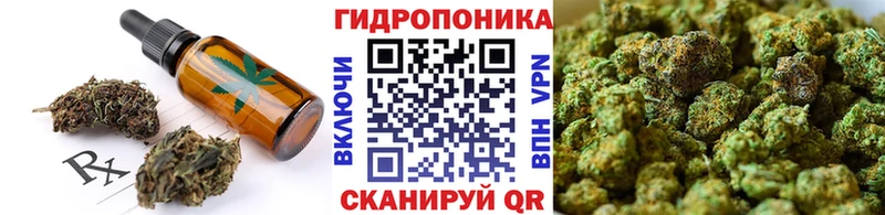 Cannafood конопля  как найти закладки  Ладушкин 