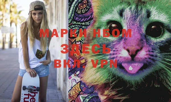 винт Абаза