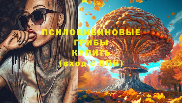 дживик Абинск