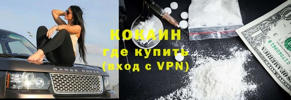 дживик Абинск